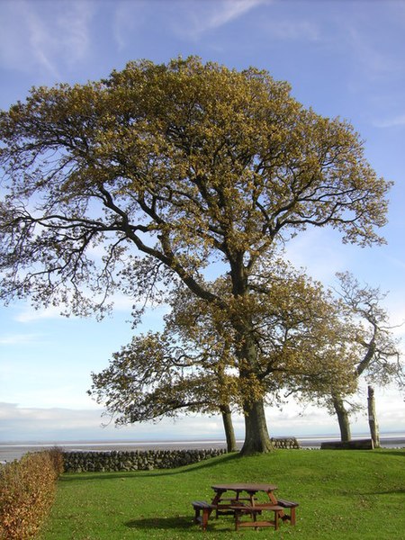 File:Drumburn Viewpoint - geograph.org.uk - 1588280.jpg