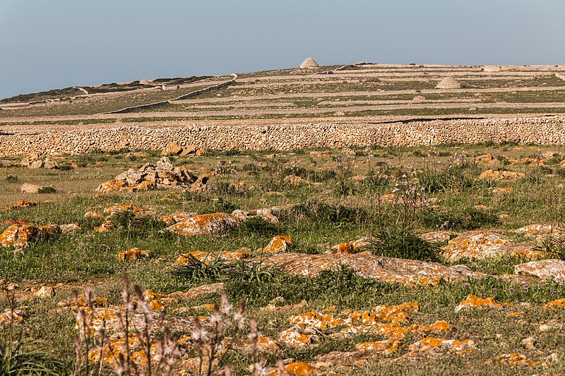 File:Dry stone walls and livestock shelters near Punta Nati (16284969078).jpg