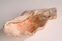 Piece of giant clam shell used as an ancient Egyptian paint holder Egyptian paint holder HARGM10425.JPG