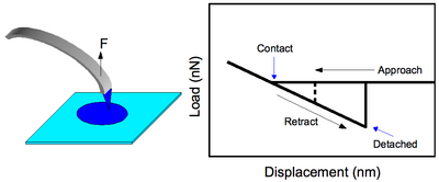 Figure 2: (Left) Probe tip being pulled from a similarly functionalized patterned area on the substrate to determine adhesion force. (Right) Typical force profile for adhesion force measurements. The dashed line is indicative of detachment for less probe-substrate interaction versus the solid line. Figure2new.png