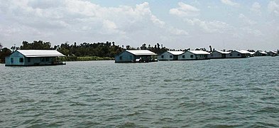 Nuôi cá trên Sông Tiền ở Cao Lãnh, Đồng Tháp.