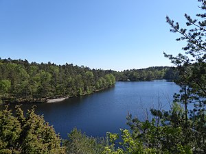 Fisjön från den branta östsidan riktning söder den 29 maj 2021.