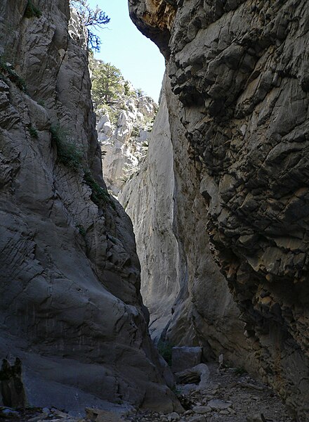 File:Fletcher Canyon 5.jpg