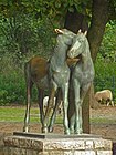 Groupe de poulains, Tierpark Berlin, 502-608.jpg