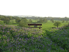 Fordhall earthwork - geograph.org.uk - 1081709.jpg