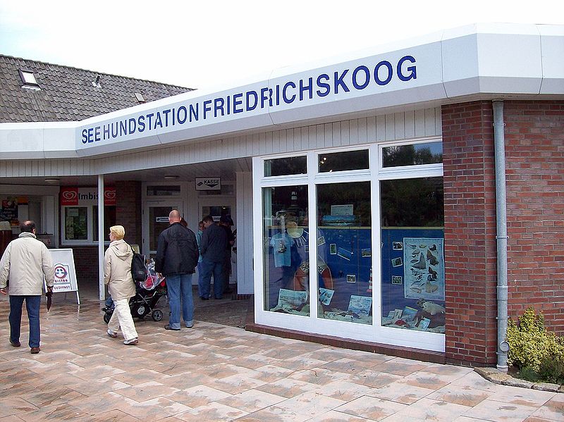 File:Friedrichskoog Seehundstation.jpg
