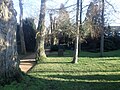 Cemetery, jewish