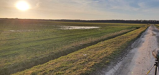 Gementpolder Februari 2020 02