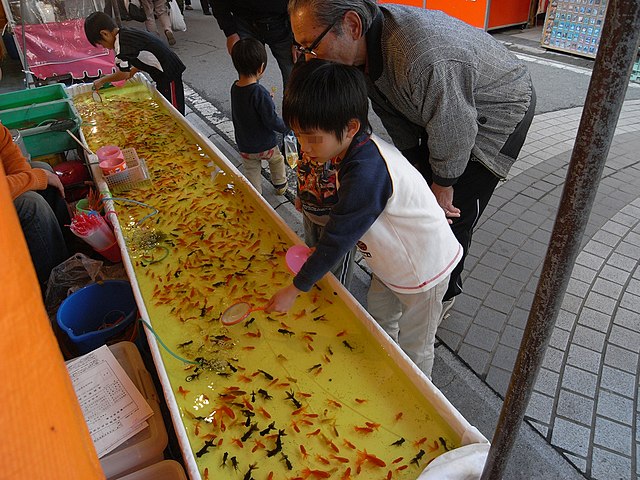 File:Goldfish scooping 001.jpg - Wikimedia Commons