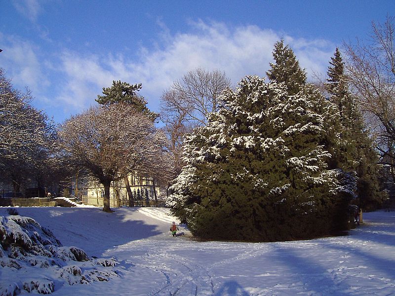 File:Gotha Park Tannengarten mit Schnee.jpg
