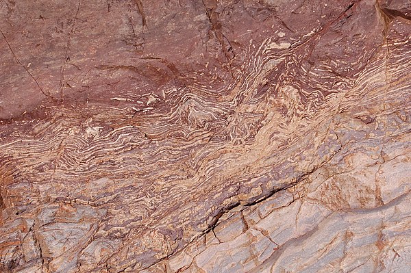 Stromatolites in Bass Limestone, Grand Canyon