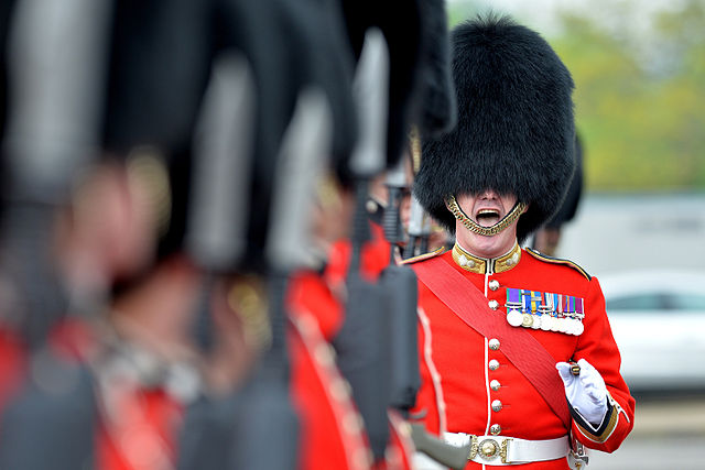 The British Army's Guards Division continue to wear the bearskin cap with its full dress uniform, a custom associated with the Grenadier Guards defeat