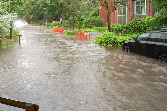 road turns to river