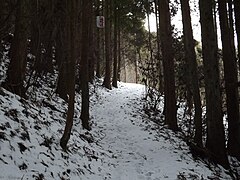 Schmaler Weg zum Tempel