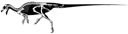 Hexinlusaurus