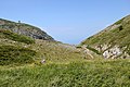 * Nomination: Hiking trail to Magaro, North Macedonia --Pudelek 13:30, 19 April 2023 (UTC) * * Review needed