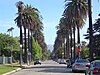 Rare view of the Hollywood sign with palm trees, taken from 650 S Windsor Blvd