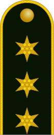 File:Hungary-Army-OF-2 shoulder.svg