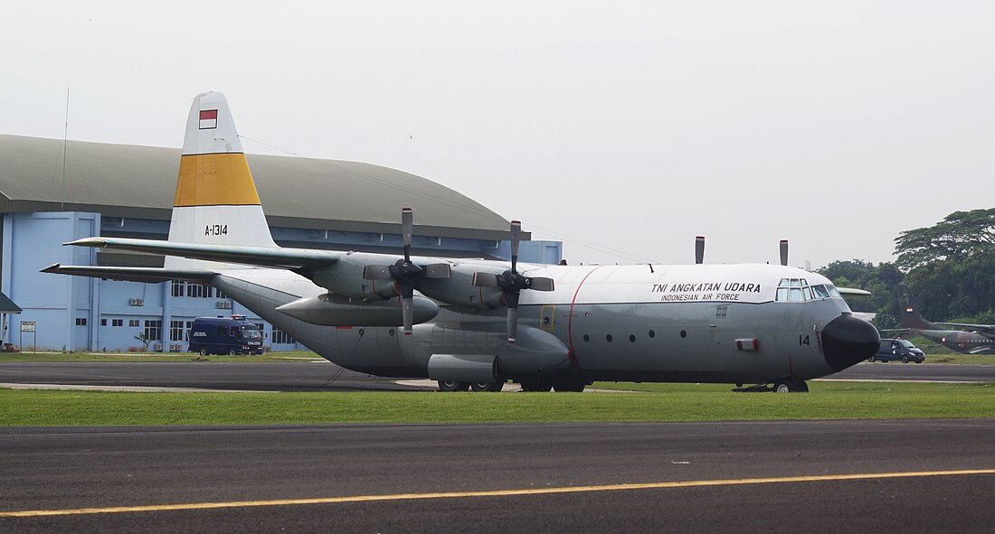 Катастрофа C-130 под Мадиуном