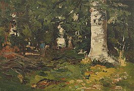 Pădure de mesteceni - Andreescu