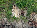 Thumbnail for Guyangan Cave System