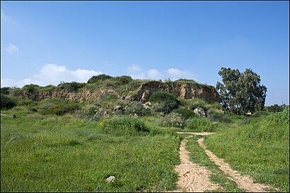 איך מגיעים באמצעות תחבורה ציבורית  לגבעת האירוסים? - מידע על המקום