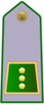 Distintivo di qualifica per controspallina di ispettore capo del Corpo forestale dello Stato