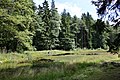 Čeština: Přírodní památka Ivaniny rybníčky na Kladinském potoce na Pelhřimovsku. Rybník Dolní Ivaniny. English: Ivaniny rybníčky natural reserve, Czech Republic