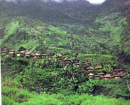 The Highlands village in the Western New Guinea