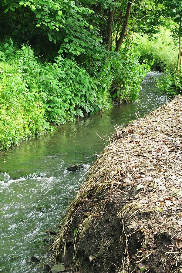 Ruisseau de Sainte-Julienne