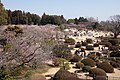 偕楽園（茨城県水戸市）