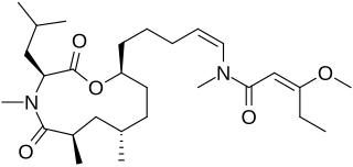 Kanamienamide Chemical compound