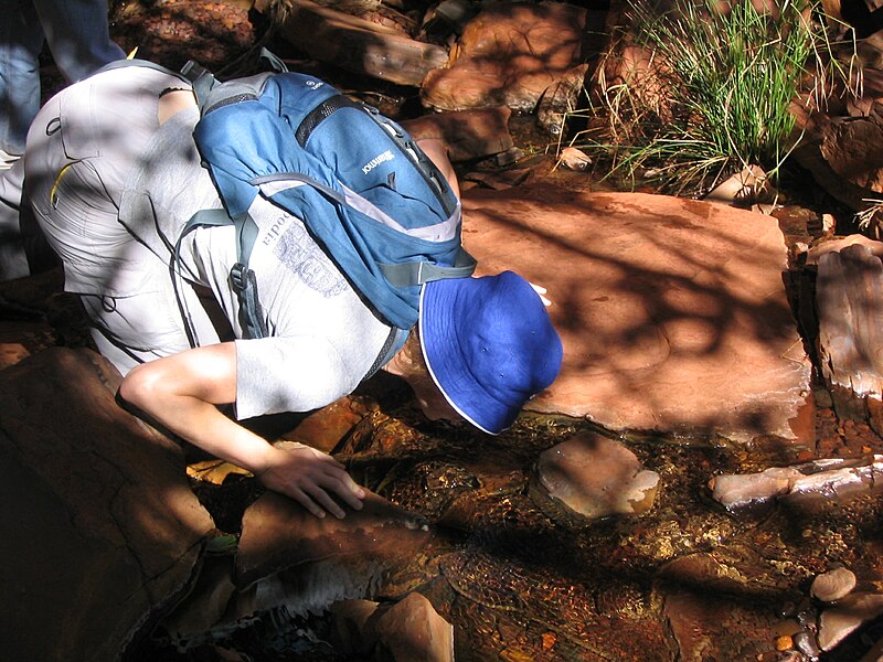 File:Karijini National Park (2051687385).jpg