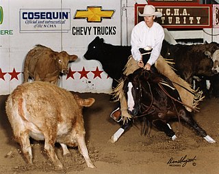 Kathy Daughn Kathy Daughn is a cutting horse trainer and honoree in the NCHA Rider Hall of Fame and National Cowgirl Hall of Fame.