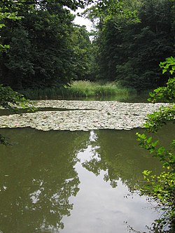 The Kugelweiher pond in the north Kugelweiher Nymphenburg Muenchen-1.jpg