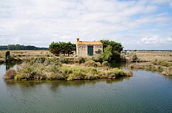 L'Île d'Olonne.- Vendée.