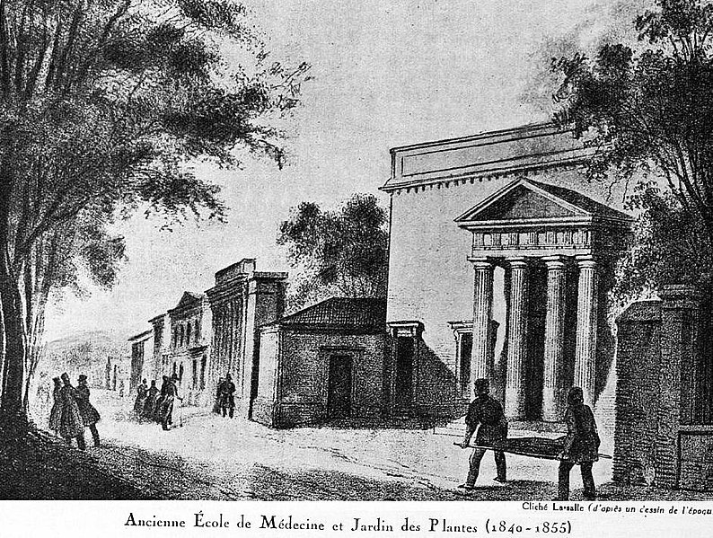 File:L'ancienne école de médecine du Jardin des Plantes, vers 1850.jpg