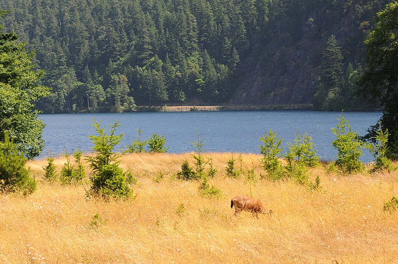 File:LAKE ADWELL - panoramio.jpg