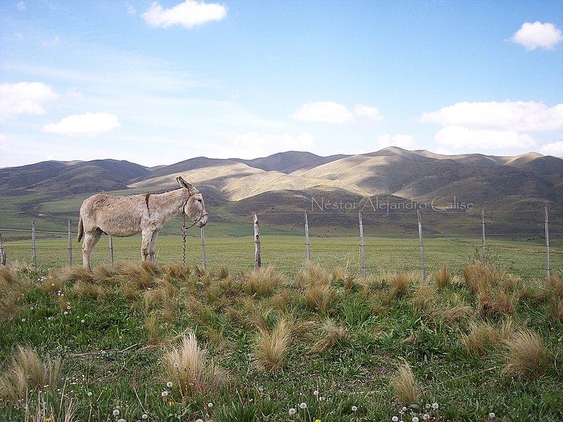 File:La Carrera Mendoza Argentina - panoramio.jpg