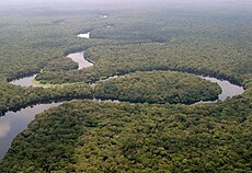 La rivière Lulilaka, parc national de Salonga, 2005.jpg