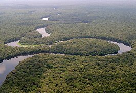 De Lulilaka door het nationaal park Salonga