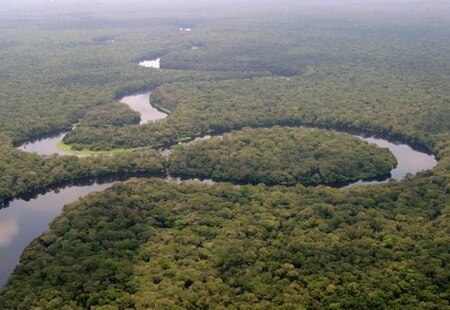 La rivière Lulilaka, parc national de Salonga, 2005.jpg