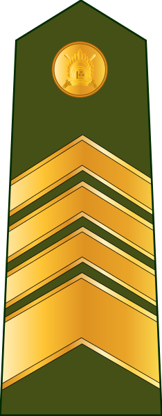 File:Latvia-Army-OR-9.svg