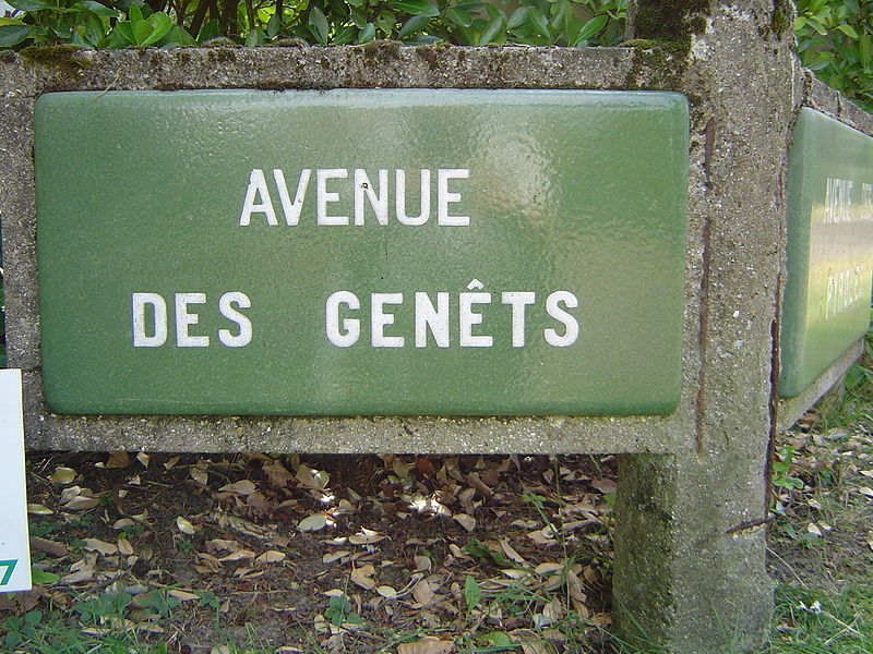 File:Le Touquet-Paris-Plage (Avenue des Genêts).JPG