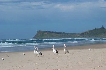 lennox head tourist information centre