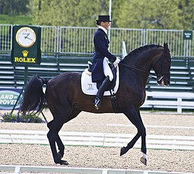 Leonberg y el Sr. Gunderson en la Copa Kentucky 2010