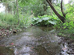 Lerbach Nehri