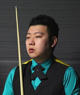 <span class="mw-page-title-main">Li Hang (snooker player)</span> Chinese snooker player