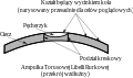 Схема на измерителна ампула, изпълнена със стъклена тръба