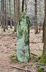 Bühlheimer Großmutter von Kleinenberg